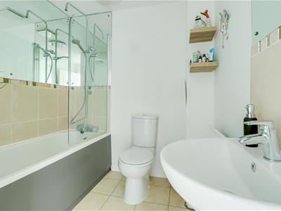 Picture 20